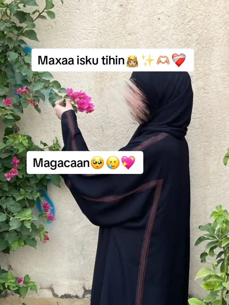 zaynab👑🍯 #dalapka_waa_furan_yahy_🖇🔐🥀💫🌏🌹💯 #fypシ #__dream_girl3 #jiyaa_jini_walaashis #somalitiktok12 #foryoupage #viewsproblem😭 #cat___girl__1 