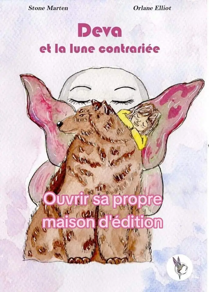 Pour commander : www.leseditionsstonemarten.fr #leseditionsstonemarten #stonemarten #lecture #BookTok