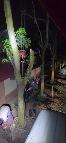 Tuổi trẻ là phải có ước mơ  Đã ước mơ là phải theo đuổi nó😥