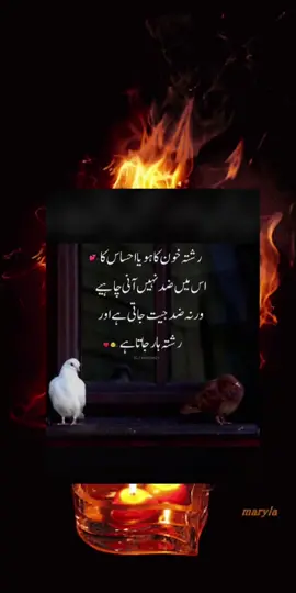 #pageforyou_🔥trending❤️video💯 #goviral #likesharecommnent #tiktokdontunderreviewthisvideo#pageforyou_🇵🇰🇺🇸 