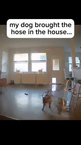 Nobody would’ve believed it if it wasn’t caught on camera 