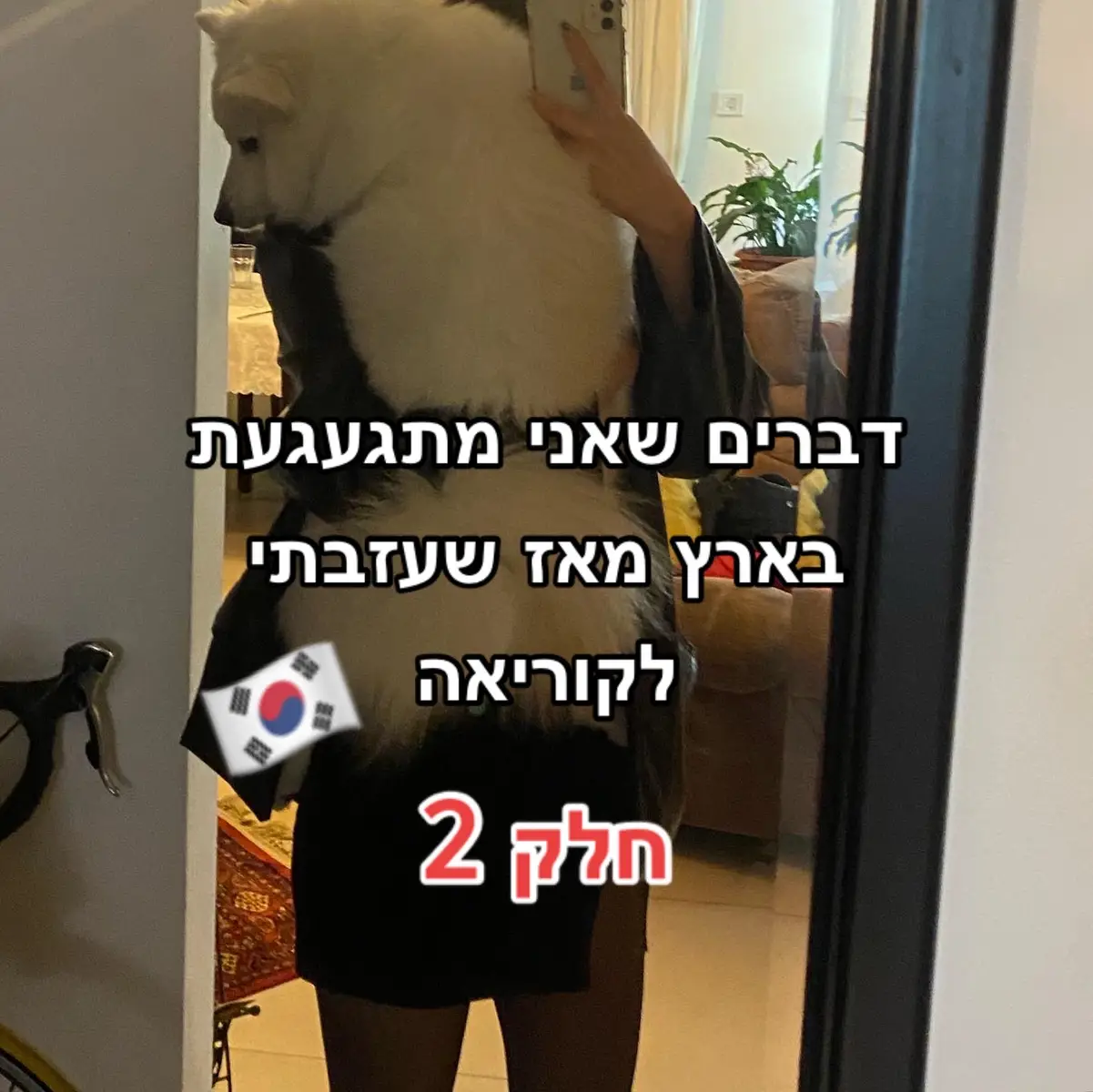 חלק שני🥰