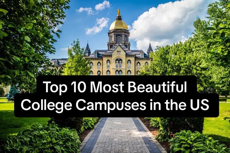 #travel #usa #fyp #top10 #college #campus #mostbeautiful #washington #universityofthesouth #cornell #rice #bardcollege #sandiego #floridasouthern #notredame #berrycollege #stanford 