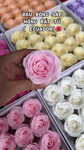 Hoa mới về…ecuador sáp thơm nhẹ dễ chịu, màu đẹp bá chá.y 😍😍😍