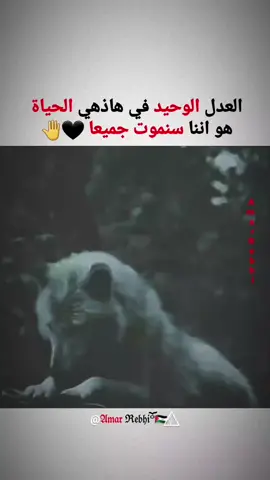 العدل الوحيد في هاذهي الحياة هو اننا سنموت جميعا 🖤🤚#متابعه_ولايك_واكسبلور_فضلا_ليس_امرأ #تصميم_فيديوهات🎶🎤🎬 #تيك_توك #اكسبلورexplore #amer_abu_shanab #متابعه_ولايك_واكسبلور_احبكم #CapCut #عامر_ربحي #ثقه_بالله_نجاح #fypシ゚viral #amer_abu_shanab🔥 #لايك_متابعه_اكسبلور #fypシ゚viral🖤tiktok #viral #fyp #مشاهير_تيك_توك 