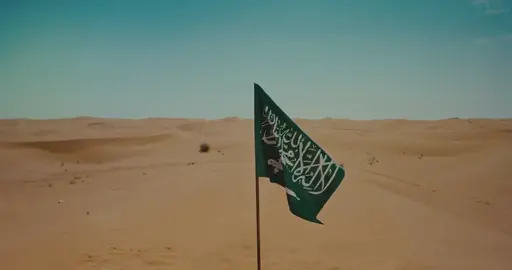 السعوديه تنافس الصعب #اكسبلورexplore #لايك #اليوم_الوطني_السعودي93💚🇸🇦  