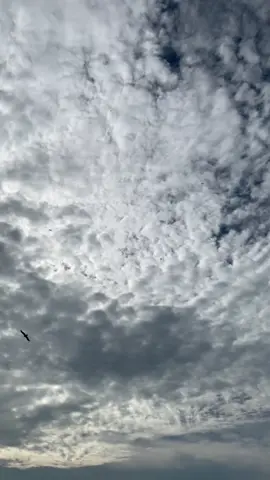 Always keep your mind as bright and clear as the vast sky, the great ocean, and the highest peak, empty of all thoughts.🤍#lahore #fypシ #foryou #fy #viral #sky 