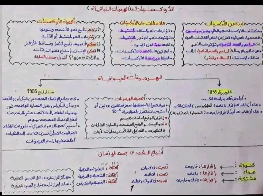 #الهرمونات #تلخيص #الفصل_الثاني #احياء_تالته_ثانوي #الشعب_الصيني_ماله_حل #اكسبلورexplore #صلي_علي_النبي_محمد_صلي_الله_عليه #اكسبلورexplore #fyp #٥ #تالته_ثانوي #دفعة2024🎓 #fyp #تلخيص #حلمك_هيبقى_حقيقة #الثانوية_العامة #capcut #صلي_علي_النبي_محمد_صلي_الله_عليه #اكسبلور 