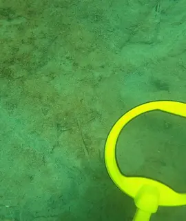 #underwater #treasure #treasurehunt #fyp