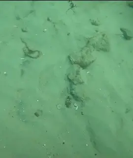 #underwater #treasure #treasurehunt #fyp