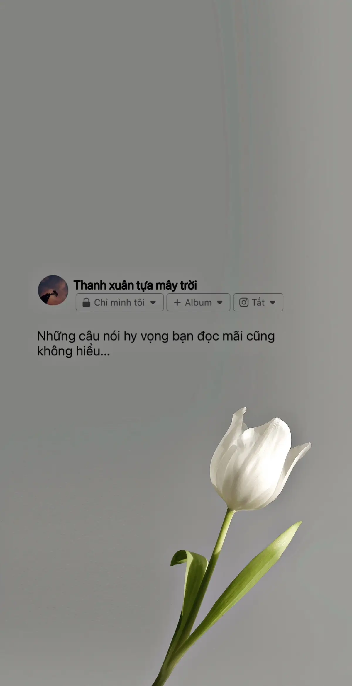 Hãy để lại đây một câu nói mà bạn thích nhất… #thanhxuantuamaytroi #sttbuontamtrang #story #fyp #xuhuong 