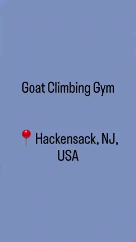 Goat Climbing Gym in Hackensack, New Jersey, USA.  . . . . #leadclimb #leadclimbing #rockclimbers #bouldering #rockclimber #rockreviews #climingreviews #indoorclimbing #rockclimbing #climbinggymreviews #climbinggym 