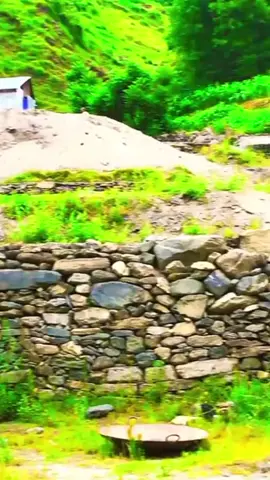 #🌲🌲🌲🌲🌲🌲🌲🌲 #beautyofkashmir❤️🥰 #standwithkashmir_foryou_viral #JahanFansWahanStadium #unfrezzmyaccount 