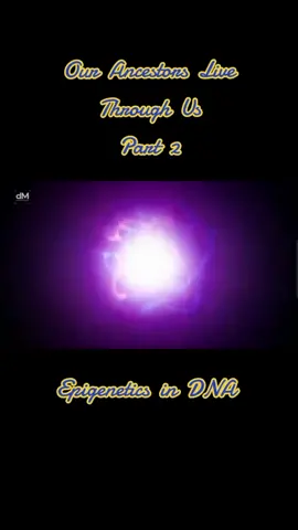 We Are Our Ancestors Part 2 Credit: DailyMotivation on YT #ancestors #dna #epigenetics #conciousness #cosmos #astrotheology #astrology #spiritual #spirituality  #spiritualitytiktok #miru #kem #kemet #alchemy #ancient #egypt #dogon #mali #kanaga #siriusa #siriusb #akashicrecords  #knowledge #esotericwisdom #CapCut 