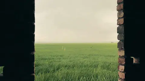 Feel the weather🥹🥰#nature #cloudysky #fyp #foryou #foryoupagee #viral #tiktok #shortvideo #CapCut #viraltiktok #videography #tanvir 