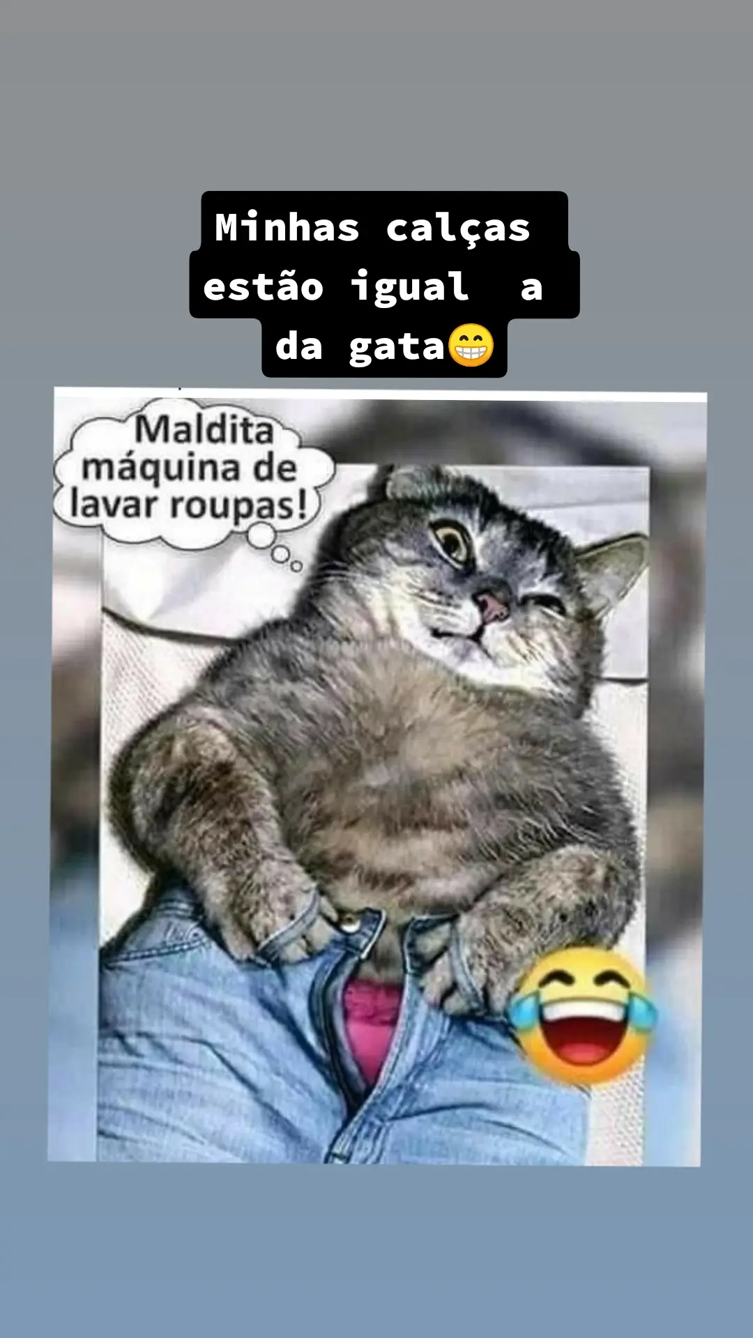 #VozDosCriadores 😀😀😀😁😁😁😁#tiktok #humor#emagrecer #gata 