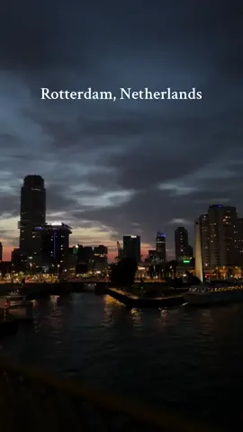 The view from Erasmus Bridge in Rotterdam, Netherlands  #rotterdam #netherlands #erasmusbridge #night #cities #traveltiktok #travellife #traveler #europe #eurotrip #viral #top 