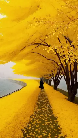 #nicescenery #naturescenery #naturebeauty #naturelover #niceview #longervideos #livewallpaper #videobackground #amazingview #stunning #trending #viraltiktok #foryoupage #foryou 