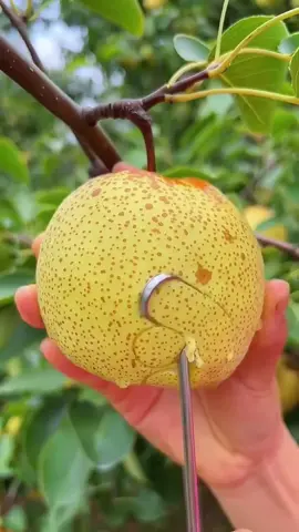 OMG😱😋🍐#usa #fruit #asmr 
