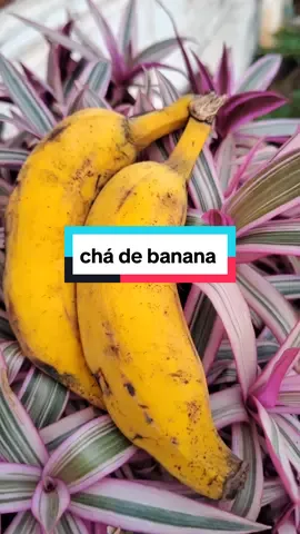 #plantamedicinal #receita #natural #emagrecer #banana 