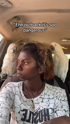 Animals be resting :) #fypシ #draft #australia #aboriginaltiktok #nativetiktok #outback 