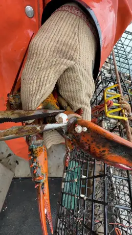 Claw spaaaaa 🦞 #maine #fishing #commercialfishing #lobster #interesting #seafood #ocean #lobstertok #fy #lobsterfishing #asmr #barnacle 