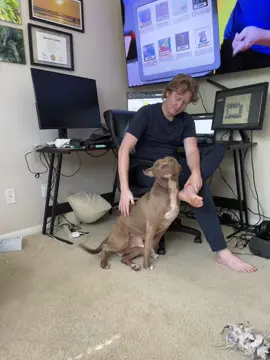 My dog loves my bf more than me