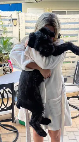Samba ♥️