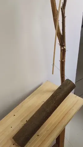 #idea #work #viral #satisfying 