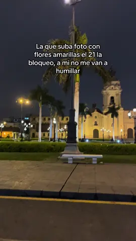 🫠🫠🫠 #floresamarillas #parati #fyp #indirectas #mujeres 