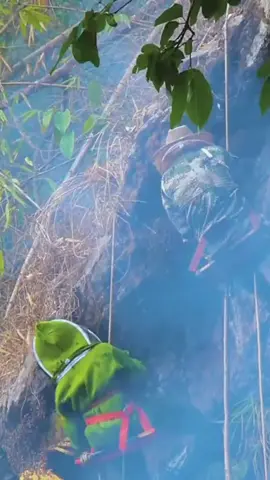 Have you ever eaten such wild honey?#honeypicking #wildhoney #outdoor #dangerousaction #ruralpeople #foryou