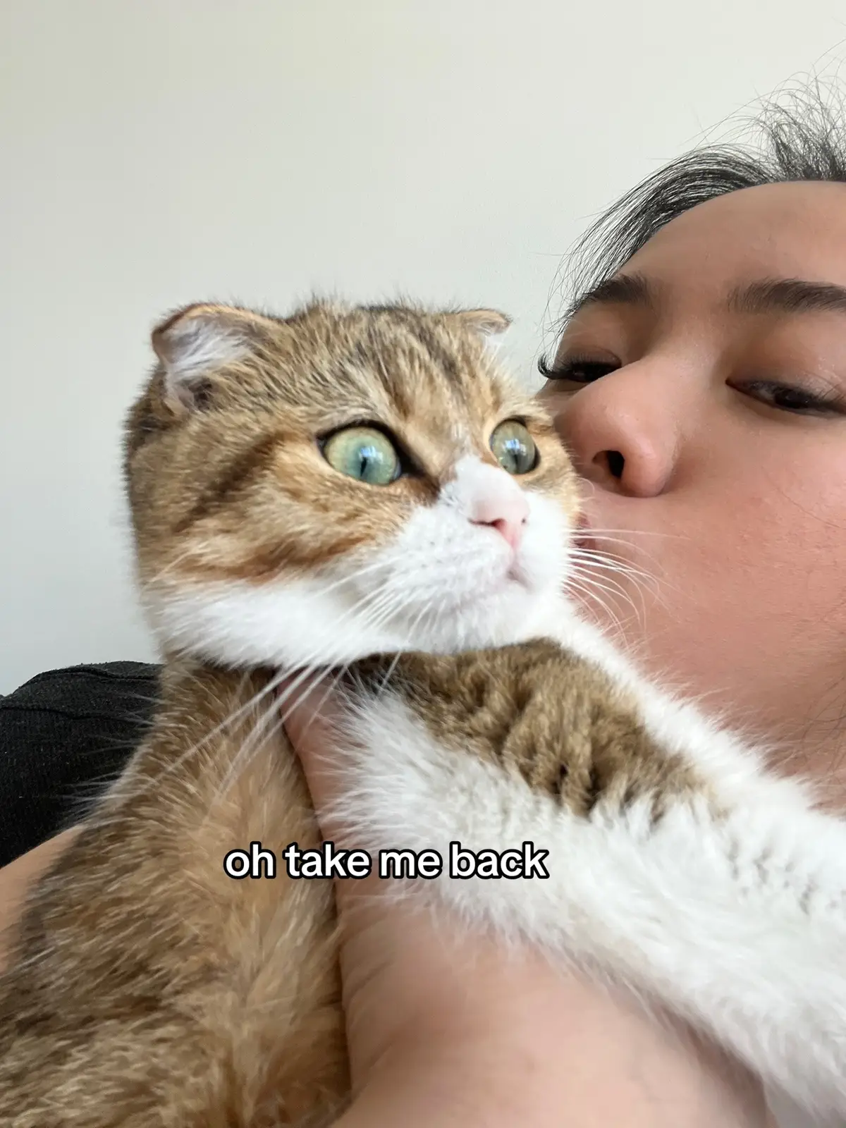 10 months with my bb 🥺 best kitty ever #cat #catsoftiktok #cutebaby #smol #furbaby #catmom #kittensoftiktok #cutecats #scottishfold #catlover #ohtakemebacktothenightwemet #furbabiesoftiktok 