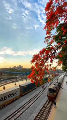 Comilla railway station 🌸🖤 #fpyシ #vira #cumillacity #trend #status #sad #Love #foryou #foryoupage #mehedi_edit🦋 