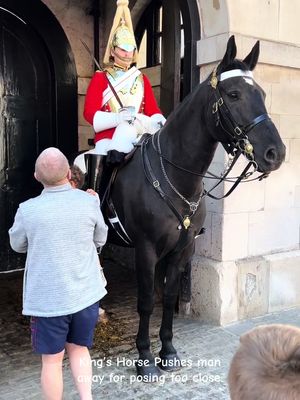 King’s Horse Pushes man away for posing too close. Horse said please go away I don’t want any troubles  #foryou #horseguardsparade #kingsguard  #viraltiktok #uk #London #horse #fyp #live #foryoupage 
