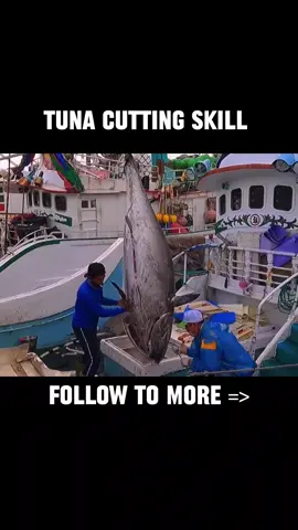 big tuna #vairl
