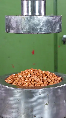 🥜🍬 Peanuts & Marshmallows CRUSHED by Worm Tool! Satisfying Crunch & Squish! 🤩 #hydraulicpress #satisfying #crushing #foodcrush