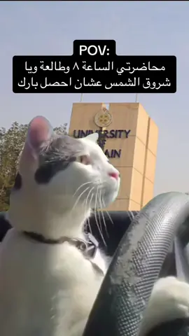 #جامعة_البحرين #uob #دوام 
