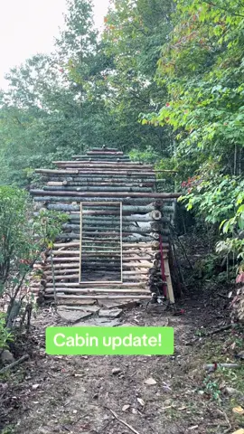 #bushcraft #survival #camping #outdoor #nature #Outdoors #knife #snakebite  #Hiking #adventure #edc #wilderness #woodsman #bushcrafting #hunting #fyp #foryou #trending #youtubeislife #subscriber #youtubeguru #youtubecontent #newvideo #subscribers #youtubevideo #youtub #youtuber 