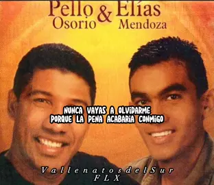 #novallasaolvidarme #pelloosorio 