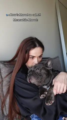 Do you think he is calm? 😆