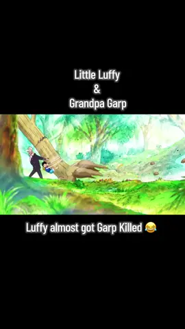 Little Luffy Almost got Grandpa Garp killed. Cute little Luffy and his Beloved Grand father. #anime #onepiece #onepieceedit #onepieceluffy #onepiecememe #garp #kidluffy #kid #littleluffy #anime #monkeydluffy #monkeydgarp #luffyedit #animeedit #animetiktok #animefyp #animes #viralanime #viralvideo #viraltiktok #viralanimeedit #foryou #fyp #fypシ #fypage #fypシ゚viral 