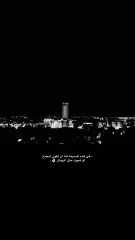 #عبارات #الطايف #t #foryou #اكسبلورexplore 