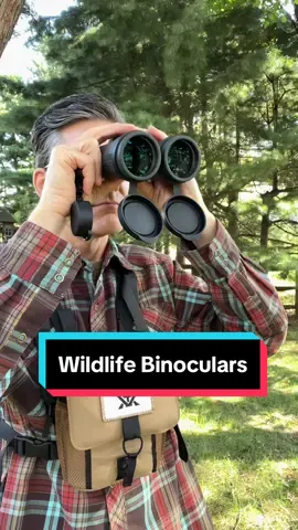 Binoculars I used for spotting wildlife in Yellowstone. One night I started a frenzy because I was the first to spot a wolf in Hayden Valley. It was the alpha female. A second watcher confirmed the sighting in her scope. I had the opportunity to see it twice. Without binoculars or a good scope, its impossible to see the wolf among the brush. I really like the Vortex Diamondback HD (12x50). Its a good price point and has excellent clarity and brightness. The 12 stands for magnification, the 50 is the objective. Since we are often out at dust and dawn, the 50’s are nice as they let in quite a bit more light. There is some shake with the 12x magification and if you don’t have a steady hand opt for the 10x. I love that I could adjust the focus for each eye separately. Overall very satisfied with the purchase. If you go higher magnification, ensure it’s tripod mountable. Vortex Diamondbacks are not. #binoculars #wildlifeviewing #wildlifephotography #wolfwatcher #wildlifetravel #wildlifespotting #yellowstonenationalpark #wildlifetips #haydenvalley #lamarvalley 