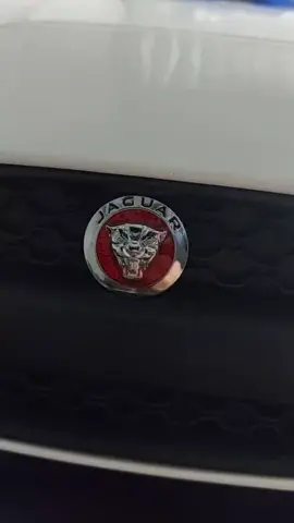 Jaguar bandeirantes 12V carrinho elétrico infantil  WhatsApp da loja 6298606-3424 
