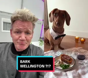 #duet with @thecedlife Bark Wellington ? Seriously ?!? #ramsayreacts #beefwellington #gordonramsay 