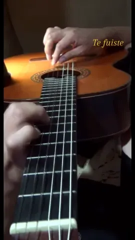 Te Fuiste - Robert Fernández #MusicaPeruana #GuitarraAndina #MusicaAndina #GuitarraPeruana #Guitar #musicaparaelmundo #Peru #Guitarra #DuoRomances #EntreManos 