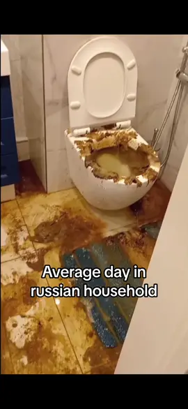 #fypage #averageday #goviral #toilet #russia #foryoupage #fyp 