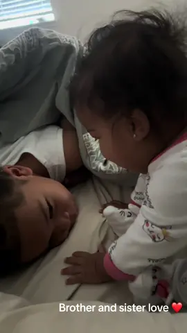 He loves his sister and she loves him. #toddlersoftiktok #toddler #brothersisterlove #brothersister #kidshenanighans 