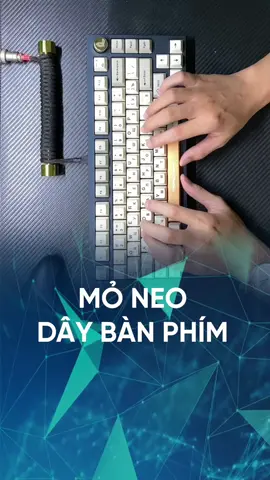 Gây như ý chuyên dùng cho bàn phím cơ. #nghien_setup #nghiensetup #thanhcongnghe #dcgr #banphimco #mechanicalkeyboard #customkeyboard 