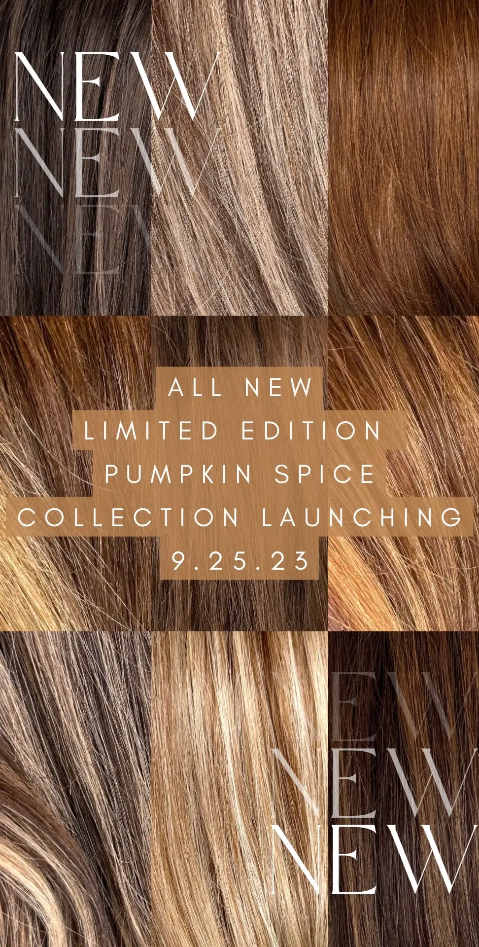 Sneak peek at our new pumpkin spice color line launching 9.25.23 🎃 stay tuned⭐️ #hairtoppers #haircolor #pumpkinspice #thelaurenashtyncollection 